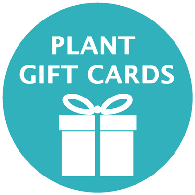 Gift Card Only
