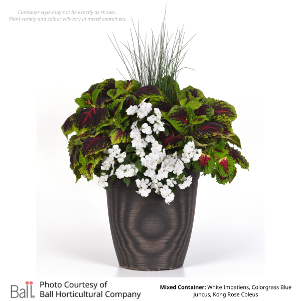 16” Shade Container