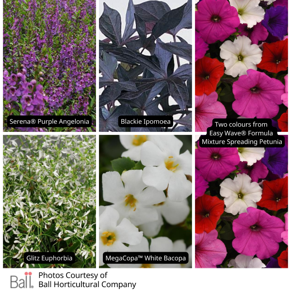 Mixed Basket Stuffer Value Pack