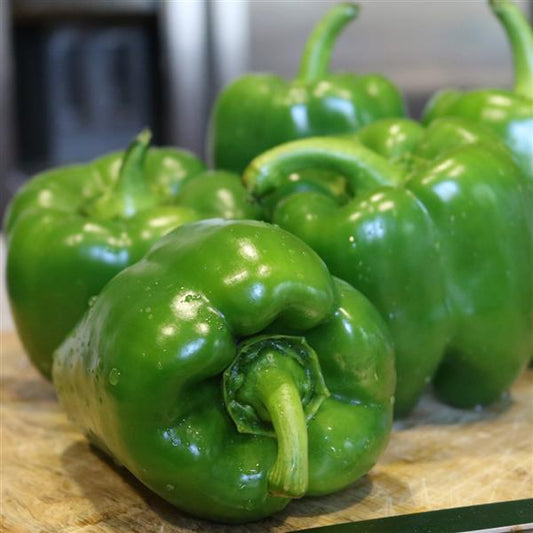 Pepper Better Belle V 3.5 inch pot