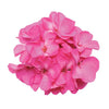Shocking Pink