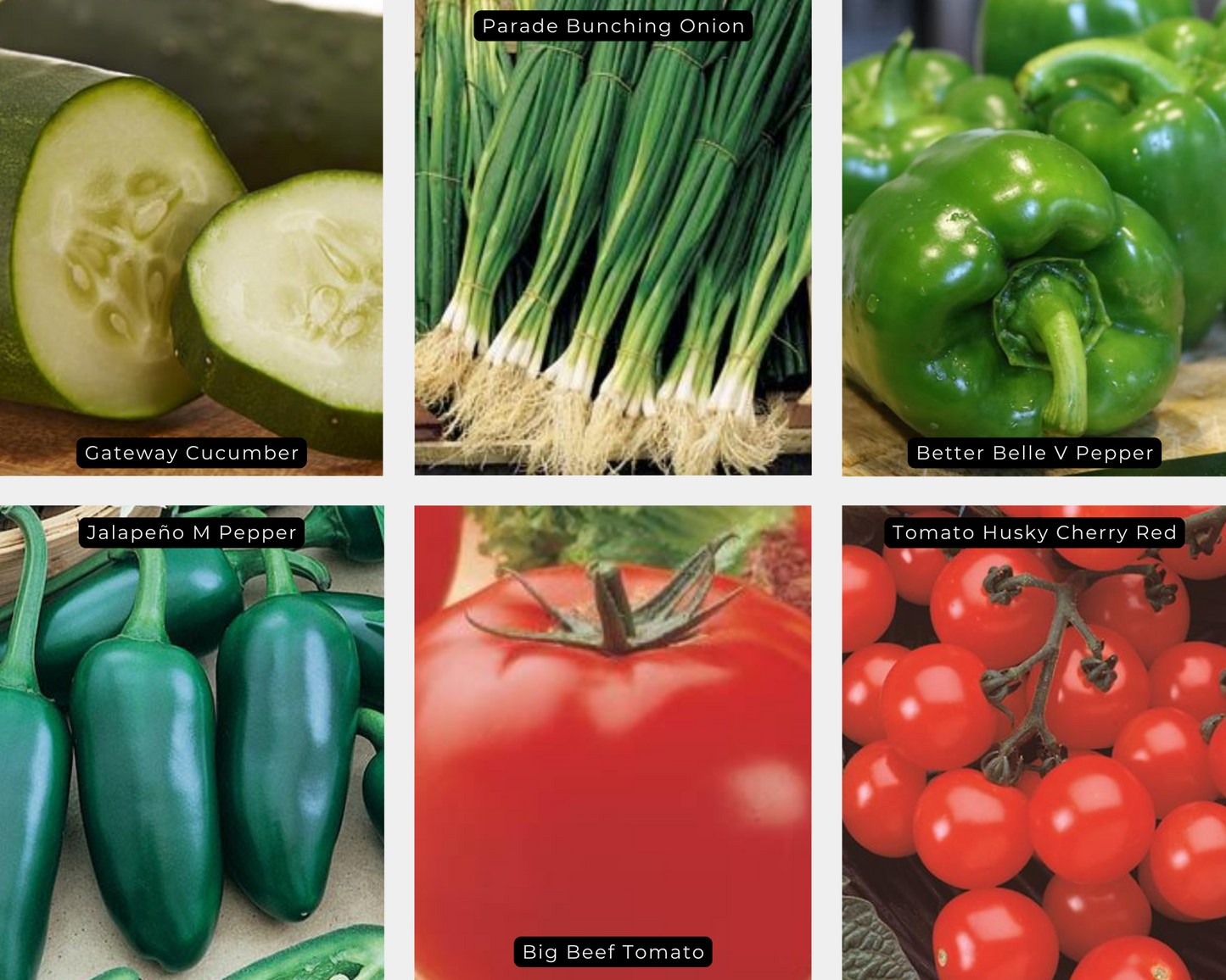 Garden Value Pack
