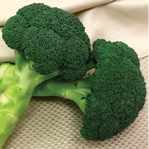 Broccoli Green Magic Pack