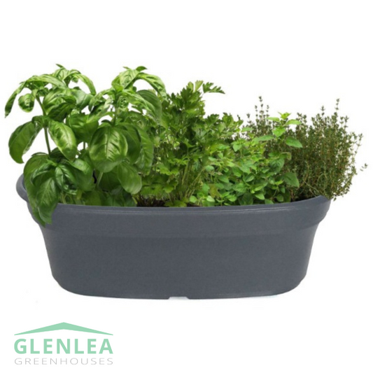 16" Herb Garden Container