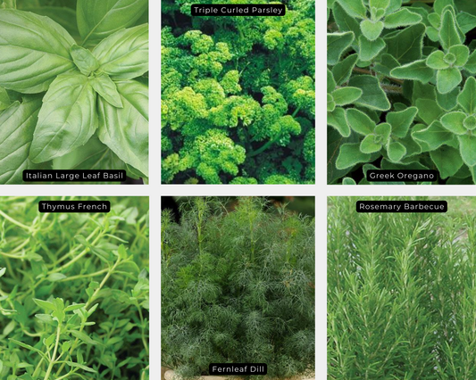 Herb Value Pack