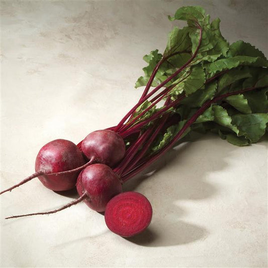 Patio Beets Merlin