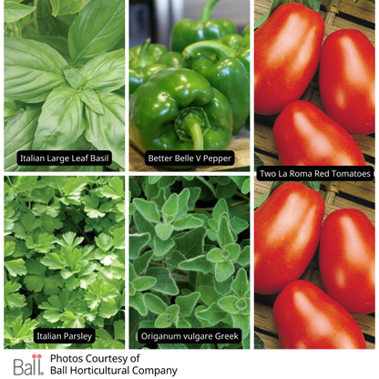 Pasta Value Bundle