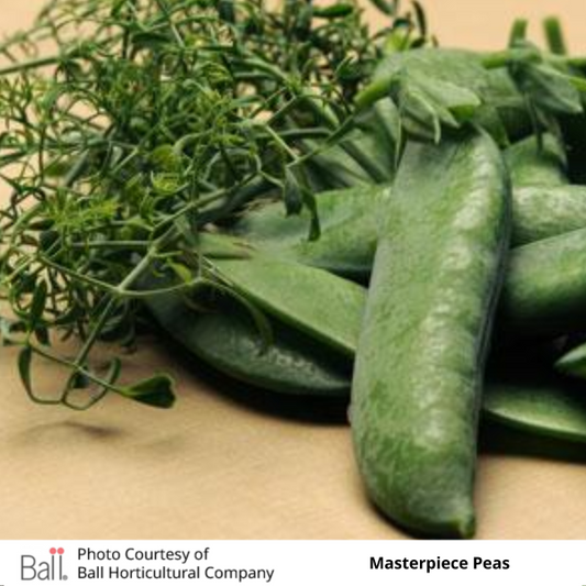 Patio Peas Masterpiece