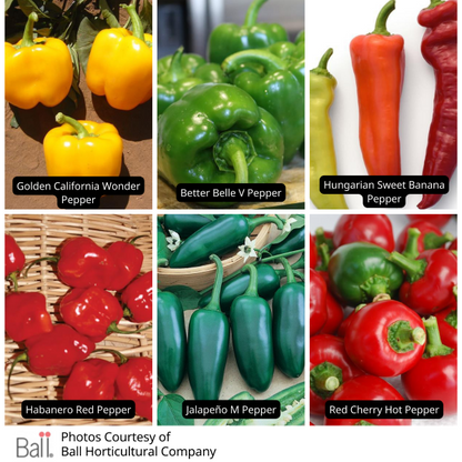 Pepper Value Bundle