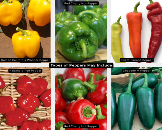 Pepper Value Pack