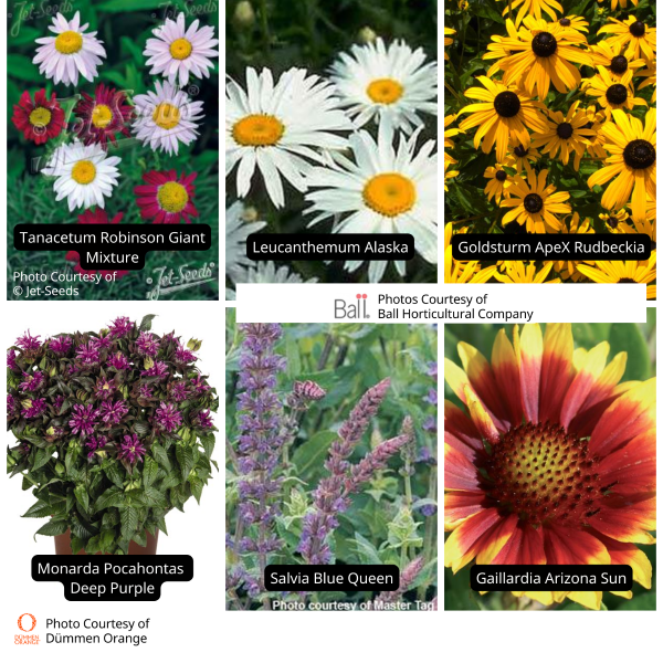 Pollinator Value Pack