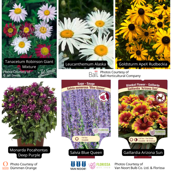 Pollinator Value Pack