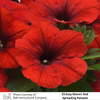 Easy Wave® E3 Red