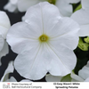 Easy Wave® E3 White