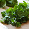 Herb