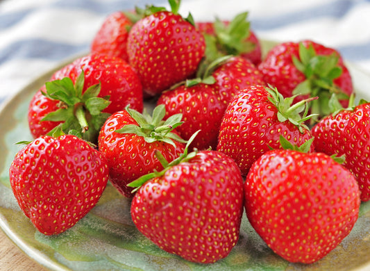 Strawberry Value Pack