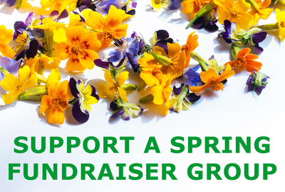 Support a Spring Fundraiser Group